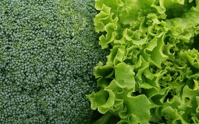 Plantemad på menuen – vejen til et sundere hjerte